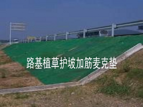 路基边坡固土网垫植草护坡