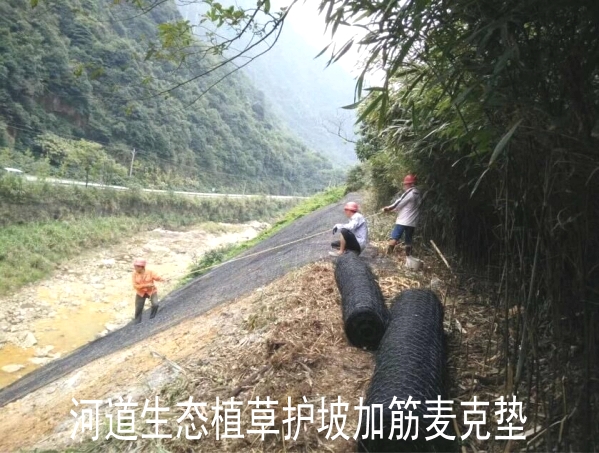 河道植草护坡加筋麦克垫