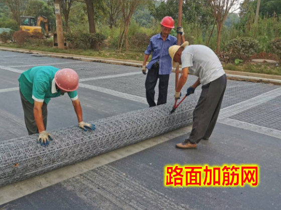 湘潭路面加筋网