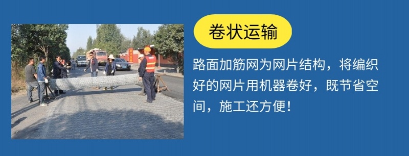 路面镀锌加筋网